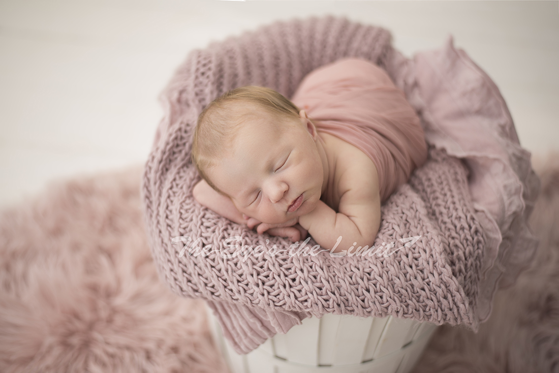 Pretty in pink newborn set up