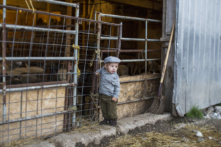 Editorial Photography in Cambridge Ontario Farms
